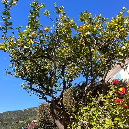 Casa Delle Ricciole Appartement Marinella (Sardinia)